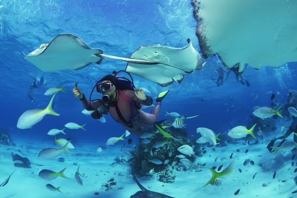 Manta